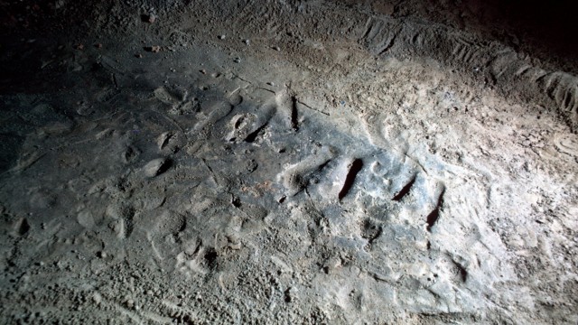 Fußspuren aus der Steinzeit
