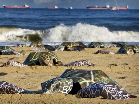 Kunst-Schildkröten in Scheveningen;AFP
