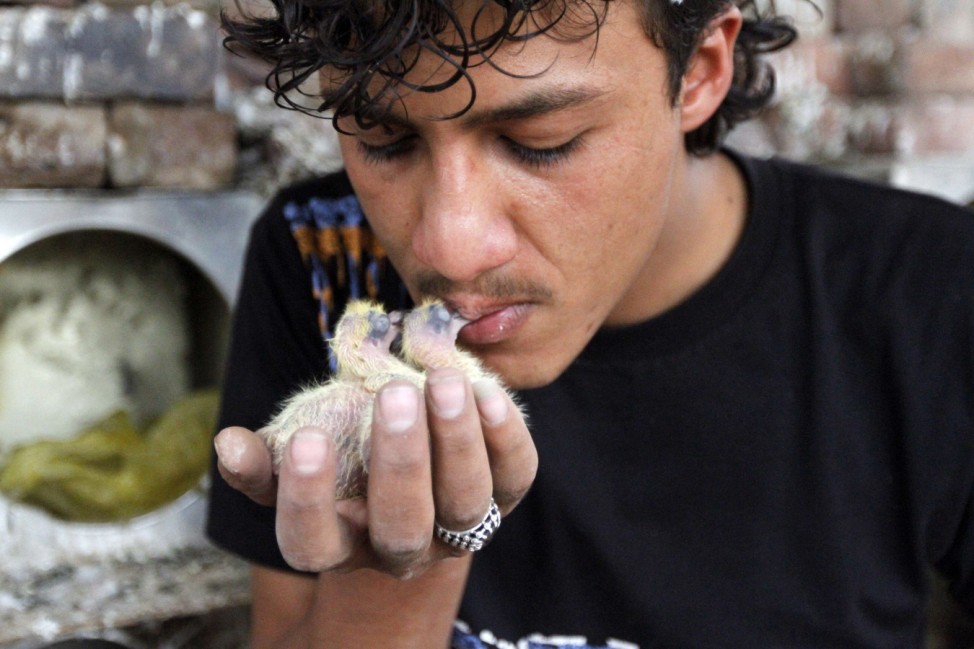 Osama Al-Hubaishi, 22, feeds birds using his mouth at his home in Sanaa