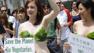 Die vegetarische Revolution: Vegetarier vereinigt euch: Wer die Welt retten will, sollte sich mit Gartengewächsen anfreunden.