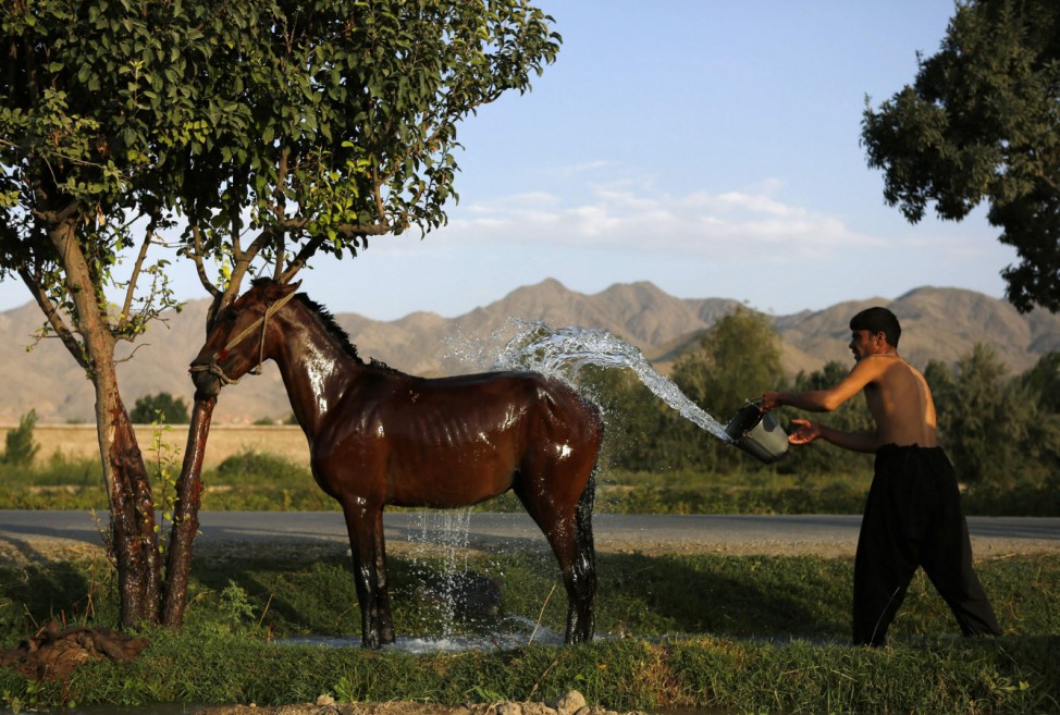 An Afghan man washes his horse in Kabul