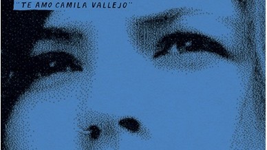 Vinylsingle "Te Amo Camila Vallejo" von der Punkband Desaparecidos