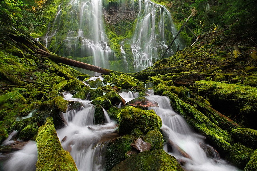 Synnatschke USA Westen Regenwald Oregon Three Sister Wilderness Lower Proxy Falls