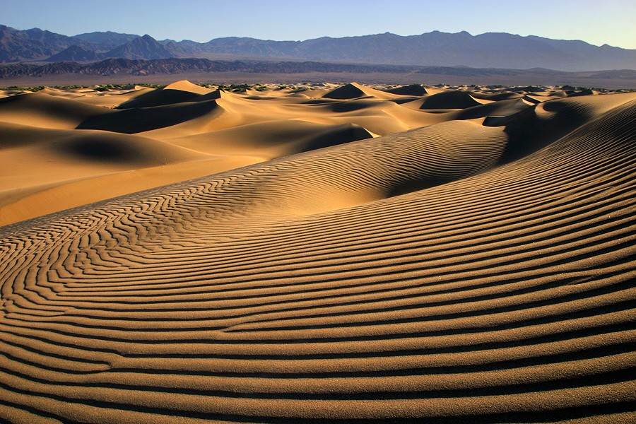 Synnatschke USA Westen Death Valley Nationalpark Kalifornien Mesquite Sanddünen