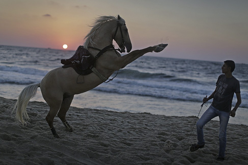 Man and horse on beach