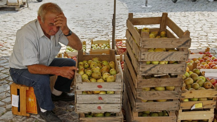A fruit vendor takes a nap at the Malveira village market on the outskirts of Lisbon