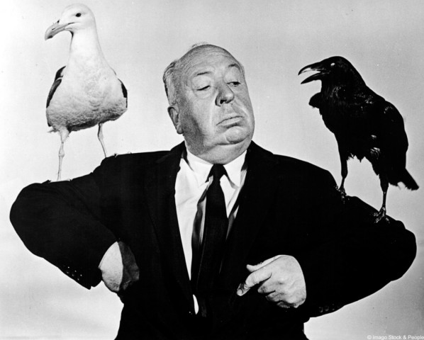 Thriller "Die Vögel" von Alfred Hitchcock