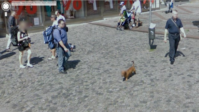 Google Street View: Herrenloser Dackel, verpixelt, aufgenommen am Viktualienmarkt.