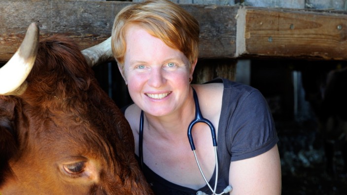 Tierärztin auf dem Land: Nicht immer verläuft das Zusammentreffen mit einer kranken Kuh so friedlich wie auf unserem Foto. Astrid Brandl hat einen anstrengenden Beruf.