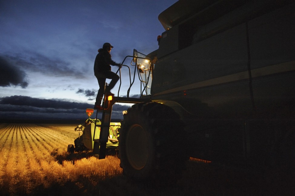 Lloyd Giles climbs up onto his combine to relieve his wife Tara who had been driving the afternoon shift during the annual harvest south of High River, Alberta