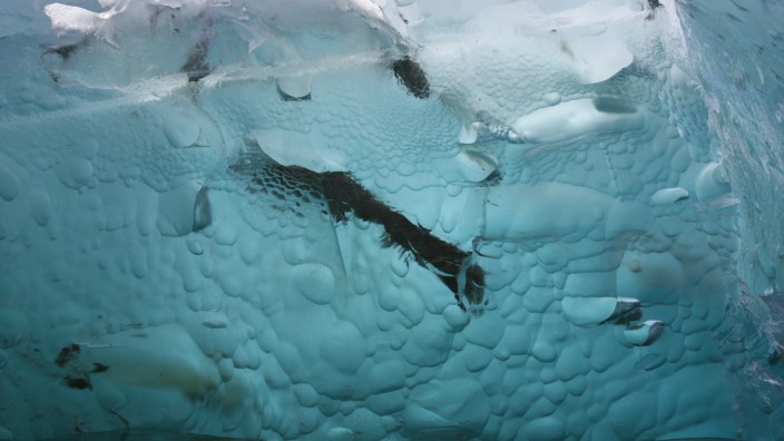 Kampf gegen den Klimawandel: Das nördliche patagonische Eisfeld im Nationalpark Laguna San Rafael in Chile. Solche Gletscher verlieren aufgrund des Klimawandels Wasser. Dadurch erhöht sich der Meeresspiegel.
