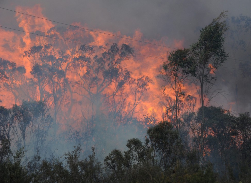 Hundreds of houses feared lost to forest fires in Australia