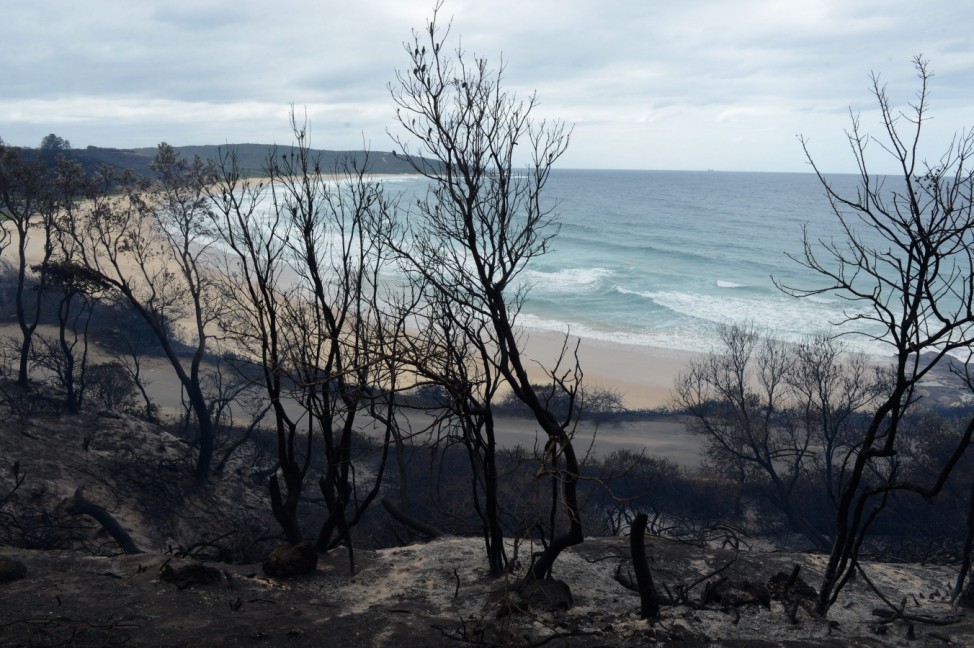 Devastating bushfires in New South Wales