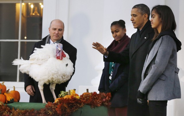 U.S. President Obama joins daughters Sasha and Malia as they pardon National Thanksgiving Turkey 'Popcorn', on the 66th anniversary of the ceremony, at the White House