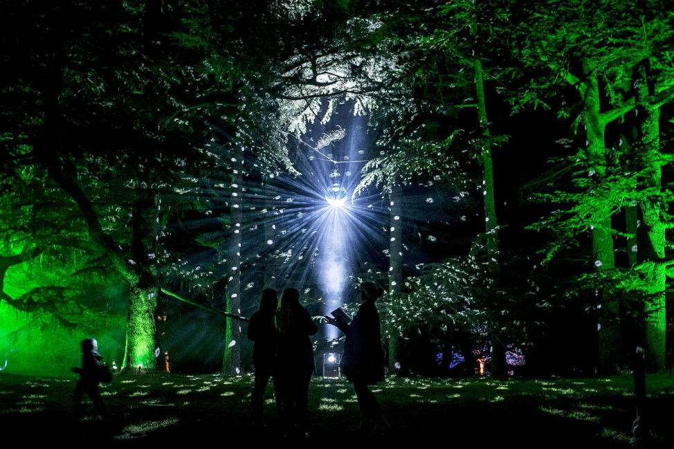 Westonbirt Arboretum Lights Up An Illuminated Trail