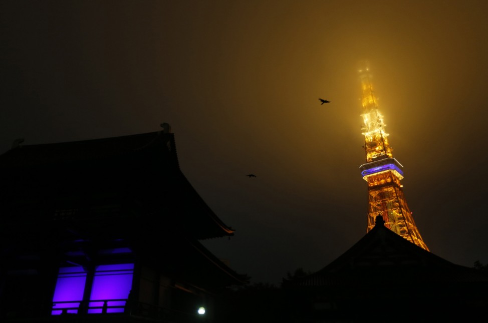 Birds fly over Zojoji Temple and Tokyo tower (R) before their lights went out at the million people's candle night event in Tokyo