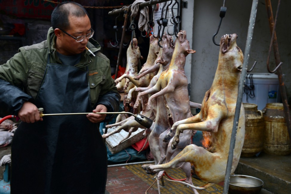 Hundefleisch in China