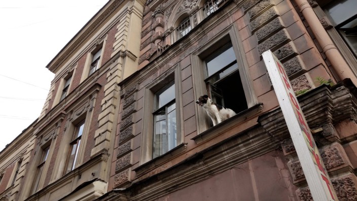 Vierte Station in Vermosh, Albanien: Dieser stolze Hund in Sankt Petersburg weigert sich, jede Möglichkeit eines Unheils vorauszusehen. Sein rechtloser Artgenosse in den nordalbanischen Bergen kann von solchen Möglichkeiten nur träumen.