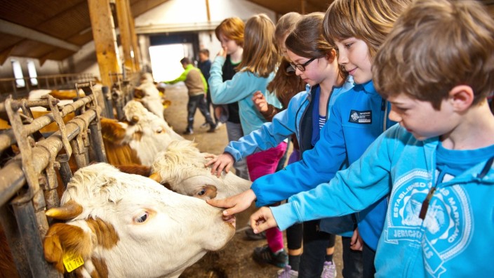 Urlaub auf dem Bauernhof: Kinder im Kuhstall.