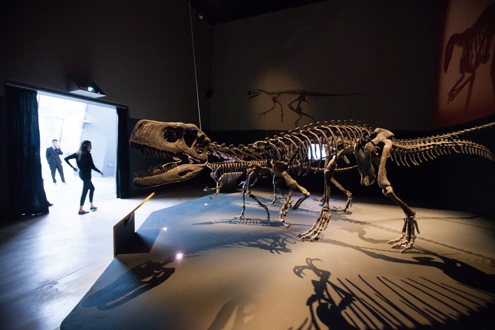 Dinosaurs: Dawn To Extinction Exhibition Opens To The Public