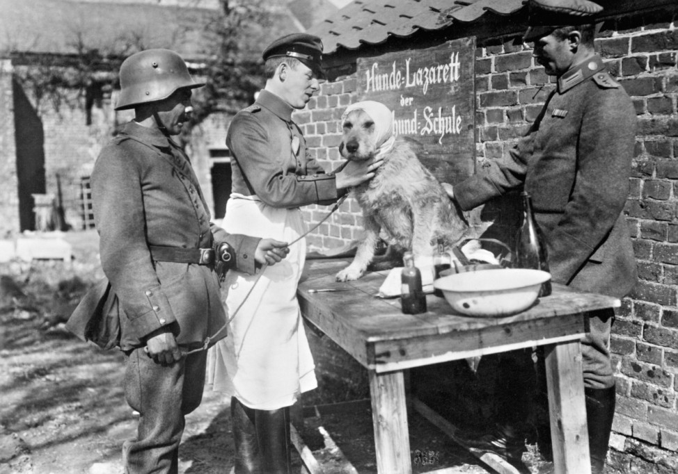 Hundelazarett im Ersten Weltkrieg
