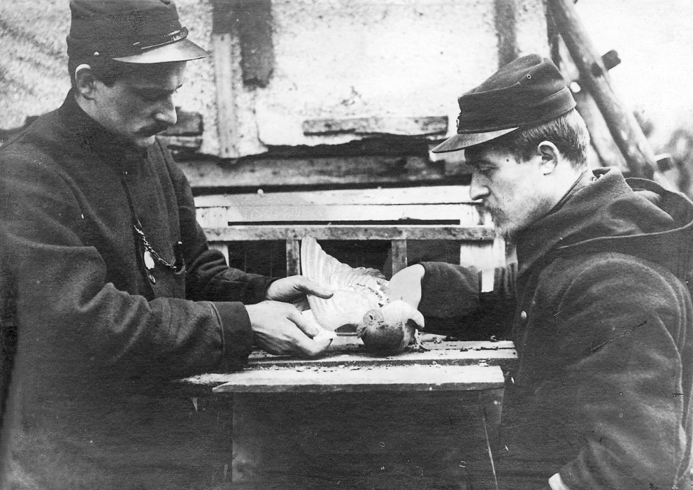 Brieftauben beim Militär, 1915
