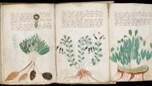 Seite aus dem Voynich-Manuskript