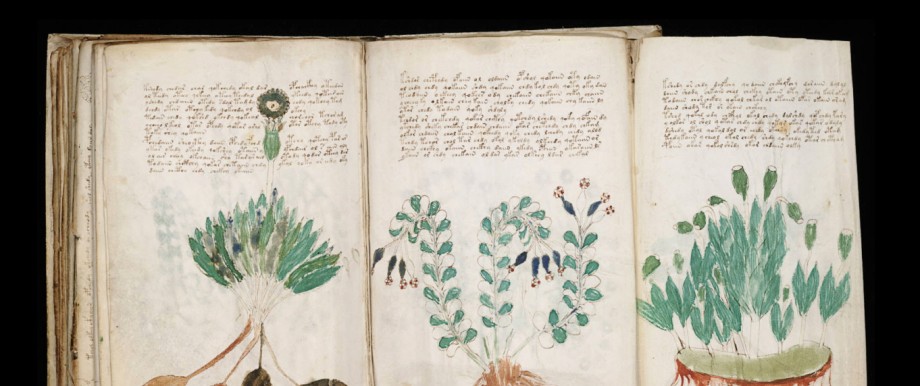 Seite aus dem Voynich-Manuskript