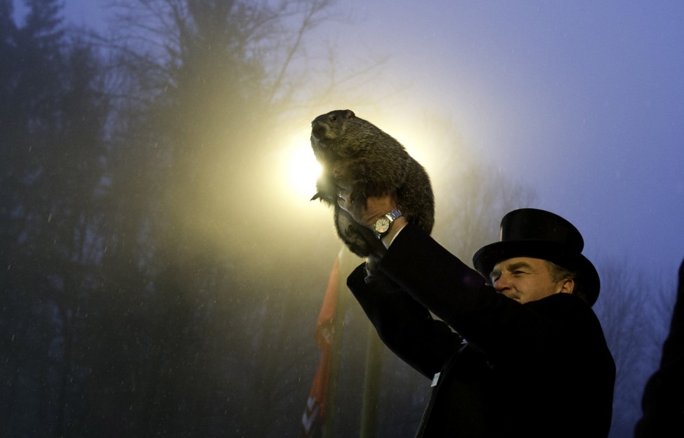 Punxsutawney Phil Makes Annual Forecast On Groundhog Day