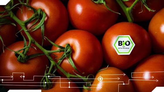 Bio-Tomate Ernährung