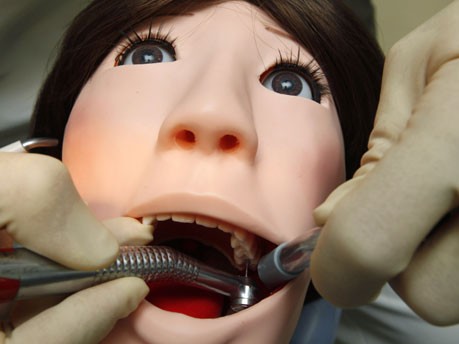 Zahnschmerz-Roboter "Hanako" neuester Ausbildungs-Hit in Japan;Reuters
