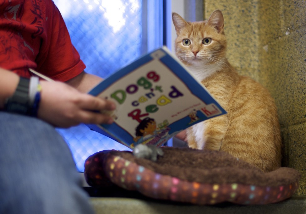 Desmond Allen reads to 'Ginger' at the Berks County Animal Rescue League in Birdsboro