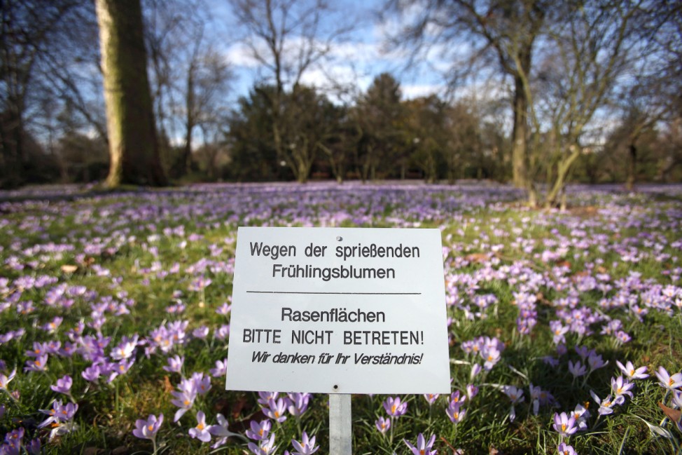 Blüte in der Flora in Köln