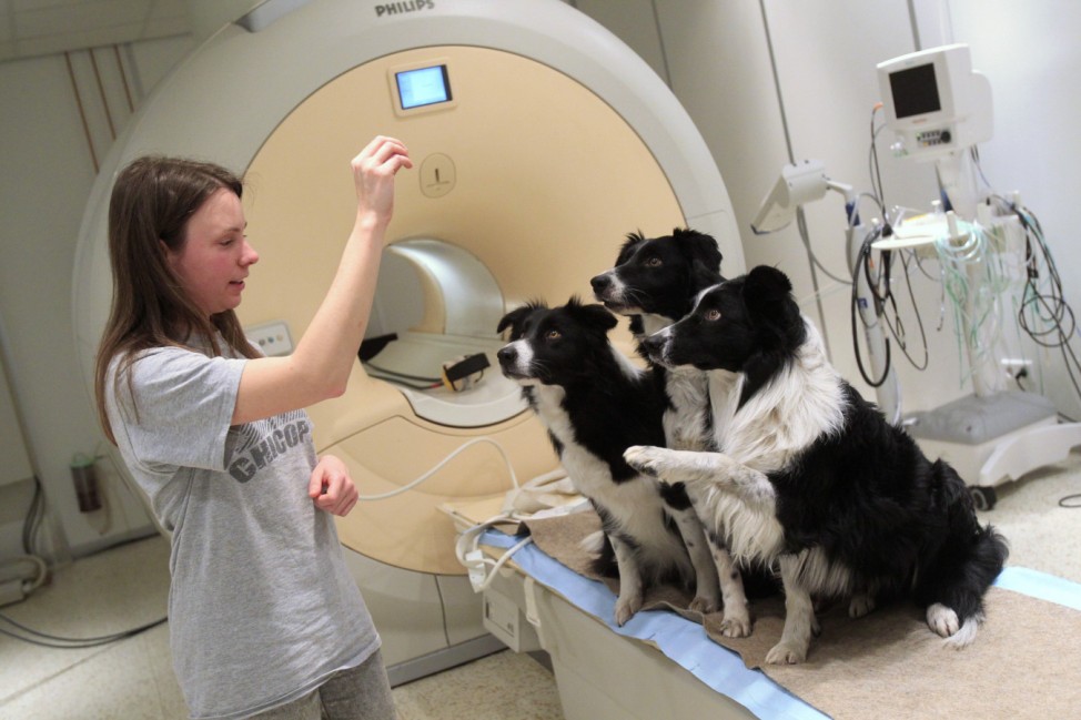 Owner Dora Kettinger talks to her dogs after an examination in a neurology clinic in Budapest