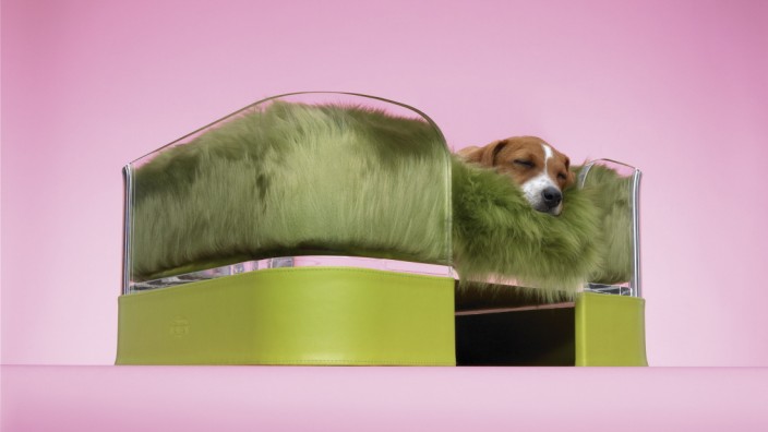 Designermöbel für Haustiere: Manche Hundebesitzer mögen es luxuriös - und kaufen ein teures Hundebett, wie das "Mija" von Wowbow.