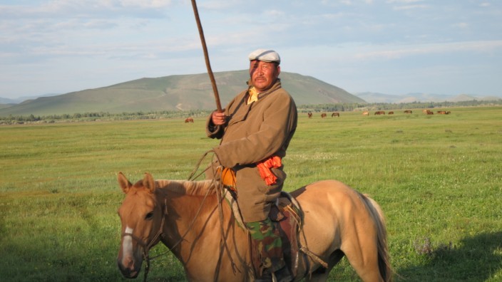 Mongolei, Reiter, Steppe