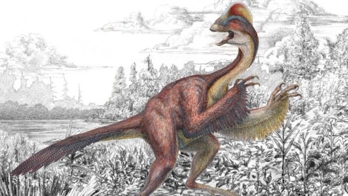 Anzu wyliei war ein gefiederter, aber flugunfähiger Dinosaurier