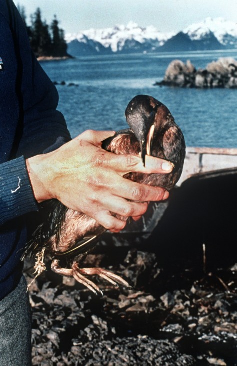 Vor 25 Jahren verunglückte der Öltanker ´Exxon Valdez"