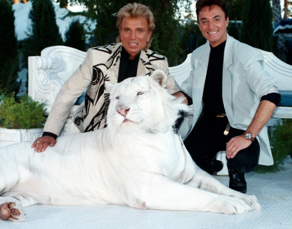 FILE: Siegfried and Roys White Tiger Mantecore has Died