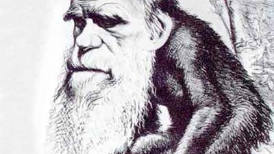 Darwin und die Folgen: Eine berühmte Darwin-Karikatur aus dem Hornet Magazine (1871).