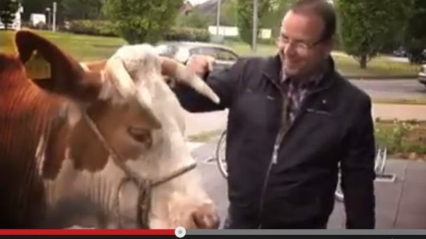 CDU Ahaus wirbt mit Kuh bei Youtube