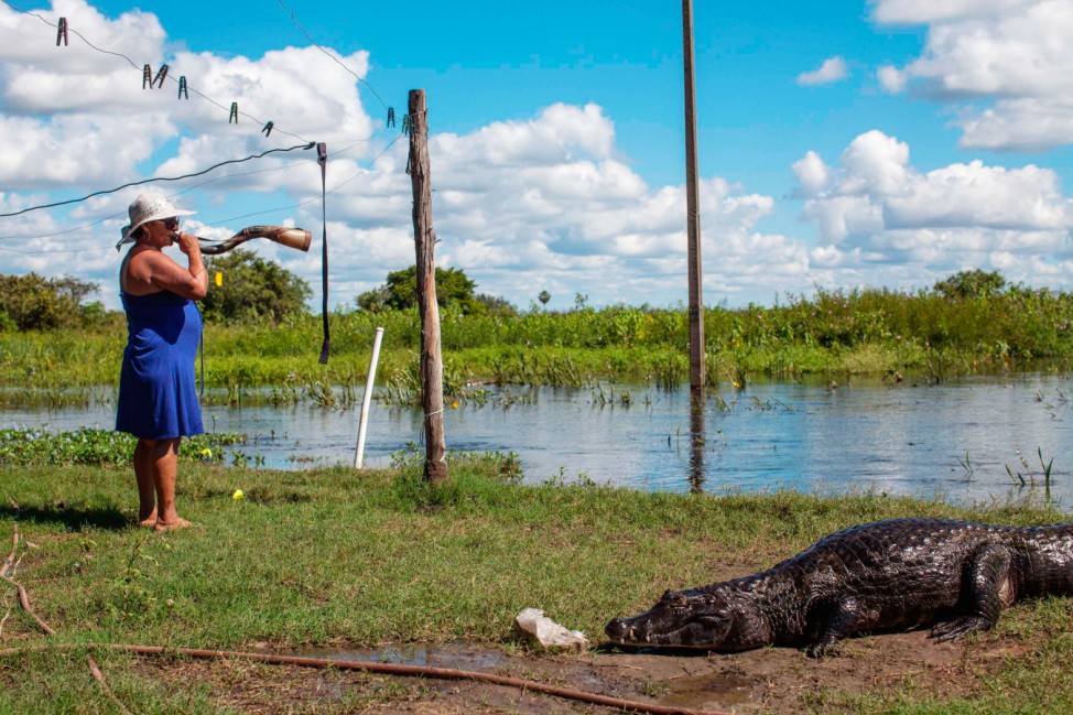 Maria de Barros calls caimans to feed in the Pantanal