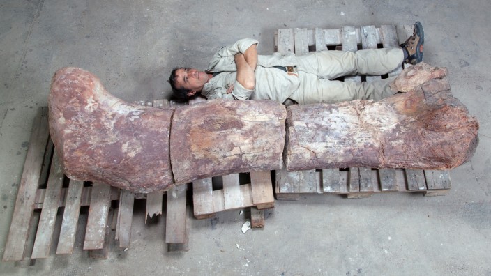Dinosaurier-Funde in Argentinien