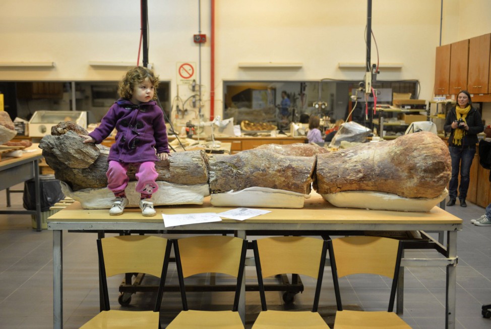 A girl sits over the original fossilised femur of a dinosaur displayed on exhibition at the Egidio Feruglio Museum in the Argentina's Patagonian city of Trelew