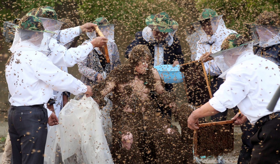 Gao Bingguo is covered with bees during an attempt to break the Guinness World Record for being covered by the largest number of bees, in Taian