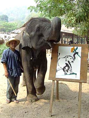 Zeichnender Elefant, elephantart.com