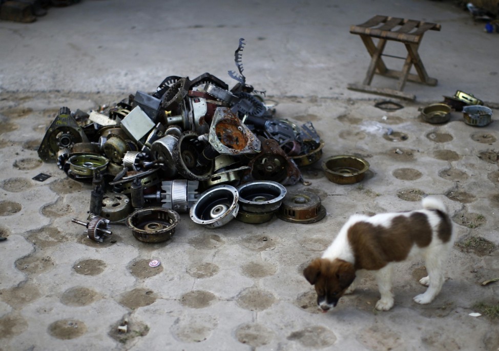 A puppy stands next to parts of dismantled electronic goods in the yard of a recycling workers' tenement house at Dongxiaokou village in Beijing
