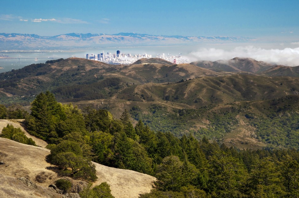 Mount Tamalpais San Francisco USA