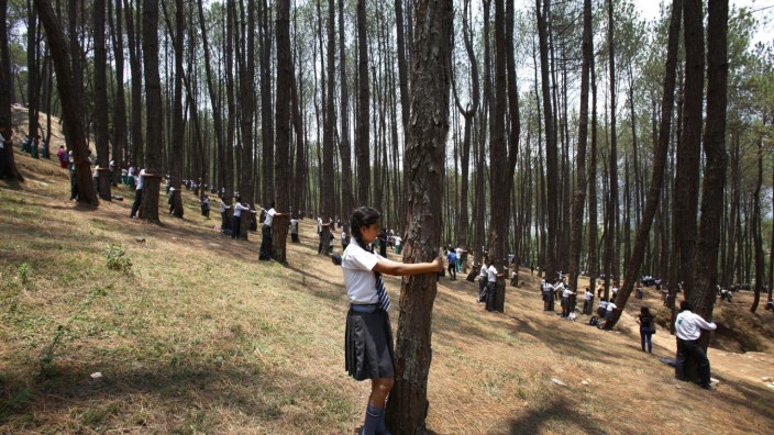 Weltrekord in Nepal: Nepalesische Schüler trafen sich bei Kathmandu zum kollektiven Baumumarmen.