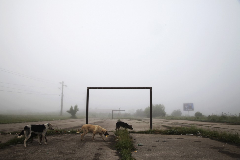 Dogs walk past a goalpost on a foggy morning in the town of Lipljan